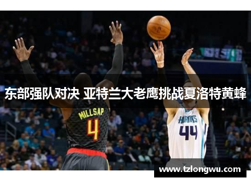 东部强队对决 亚特兰大老鹰挑战夏洛特黄蜂